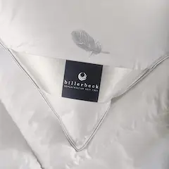Paplan Webshop