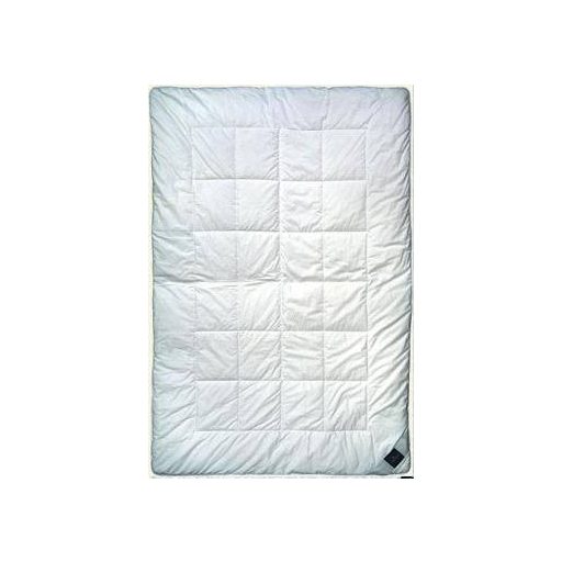 Billerbeck Bambusz 4 évszak garnitúra (paplan, nagypárna, kispárna), 135x200 + 70x90 + 36x48 cm (400 + 800 g)