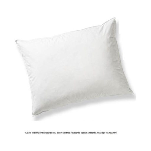 Billerbeck Clima Controll félpehely nagypárna II. osztály, 60x80 cm (1410)