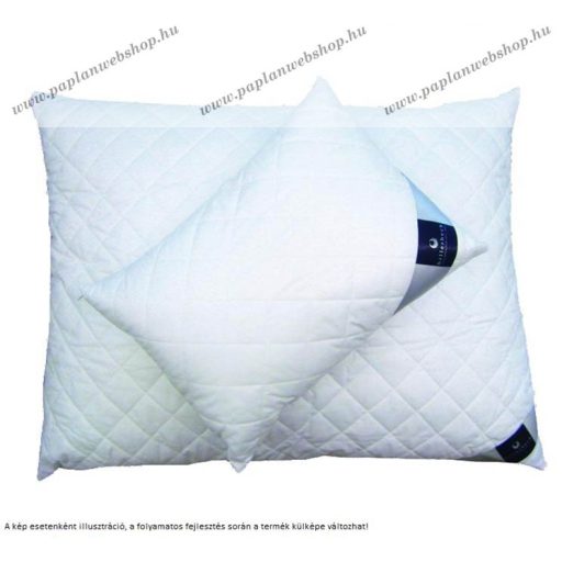 Billerbeck MEDICLEAN nagypárna, 70x90 cm