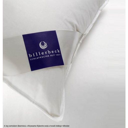 Billerbeck ADÉL kispárna, 36x48 cm