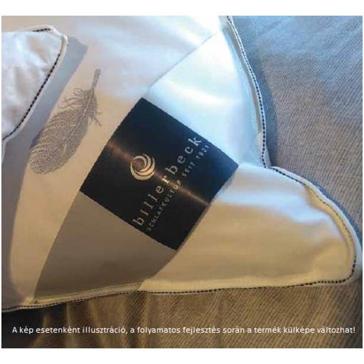 Billerbeck ALEXA nagypárna, 70x90 cm